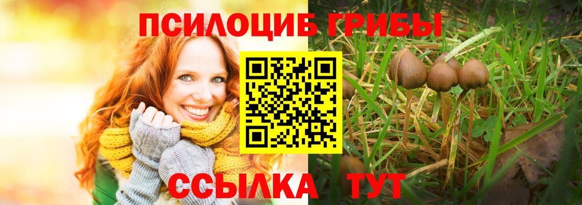 Галлюциногенные грибы мухоморы Дзержинский